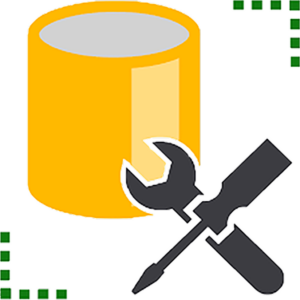 Курс включает в себя: <b>SQL Management Studio</b> - среда для управления базами данных