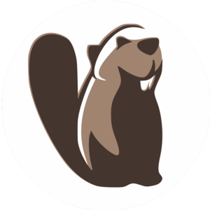 Курс включает в себя: <b> DBeaver </b> - клиент для баз данных